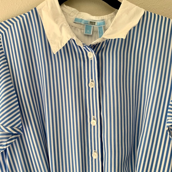 Draper James blue & white striped shirtdress - Picture 3 of 16